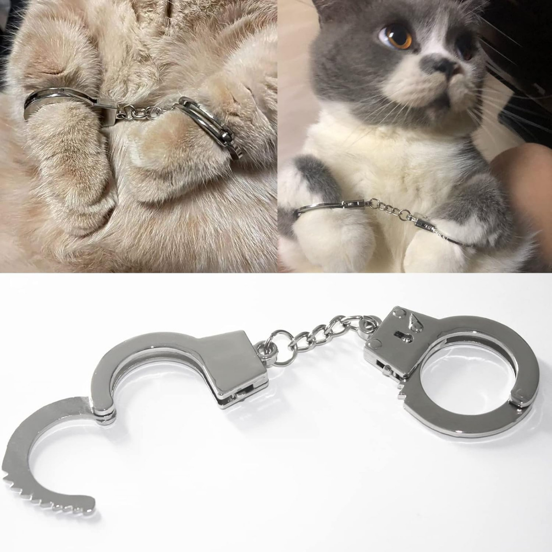 Esposas para Felinos Malos